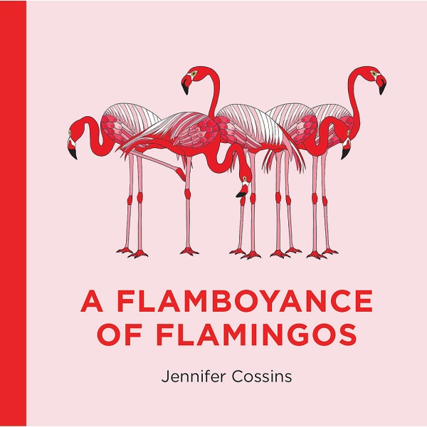 A flamboyance of flamingos