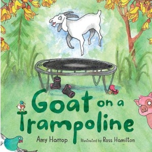 Goat On A Trampoline